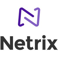 Netrix, LLC Logo